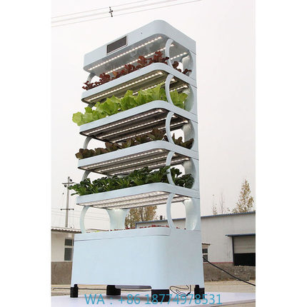 Smart Home Ac - ระบบปลูกพืชไฮโดรโปนิกส์ในบ้านแบบอัตโนมัติ รุ่นใหม่ล่าสุด สวนอัจฉริยะในร่ม ระบบปลูกพืชไฮโดรโปนิกส์แนวตั้งอัจฉริยะ
